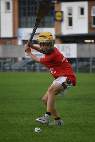 Photos from  Mini All Ireland Hurling matches
