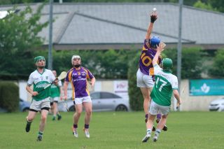 Senior A Hurlers vs O Tooles in League challange