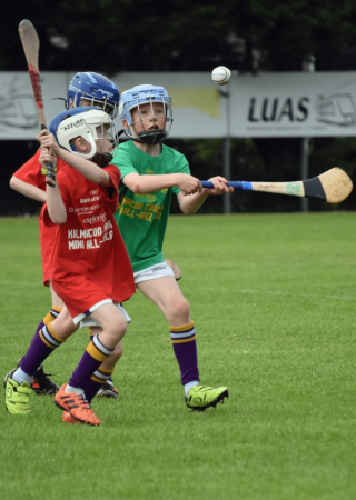Photos from Mini All Ireland Hurling Finals