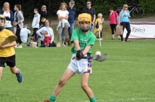 Photos from Mini All Ireland Hurling Finals