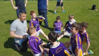 Crokes Under 9 Festival Of Football June 2nd UCD