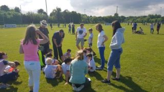 Crokes Under 9 Festival Of Football June 2nd UCD