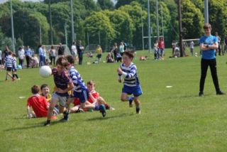 Crokes Under 9 Festival Of Football June 2nd UCD