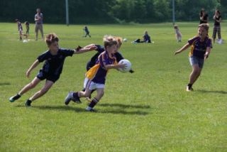 Crokes Under 9 Festival Of Football June 2nd UCD