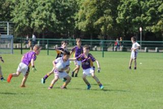 Crokes Under 9 Festival Of Football June 2nd UCD