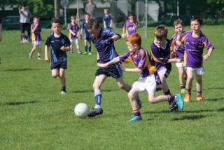 Crokes Under 9 Festival Of Football June 2nd UCD
