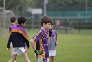 Crokes Under 9 Festival Of Football June 2nd UCD