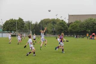 Crokes Under 9 Festival Of Football June 2nd UCD