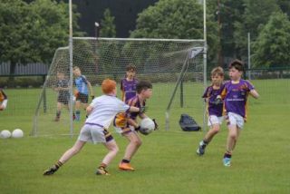 Crokes Under 9 Festival Of Football June 2nd UCD