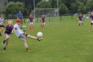 Crokes Under 9 Festival Of Football June 2nd UCD