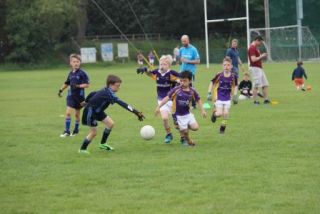 Crokes Under 9 Festival Of Football June 2nd UCD