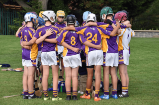Photos from the All Ireland Hurling 7s
