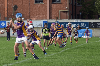 Photos from the All Ireland Hurling 7s