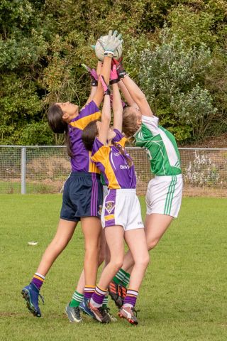 Kilmacud Crokes Under 12 Ladies Footballers at Carryduff GAA blitz in Belfast on 25th of August