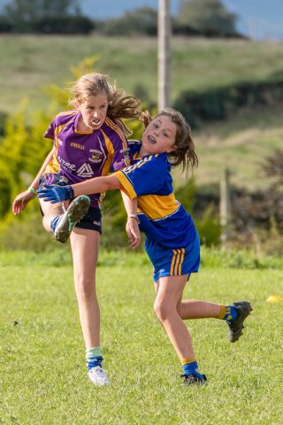 Kilmacud Crokes Under 12 Ladies Footballers at Carryduff GAA blitz in Belfast on 25th of August
