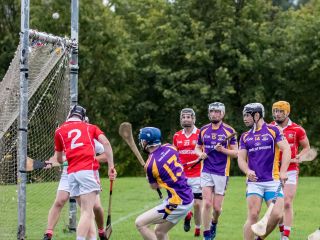 Senior B Championship Match Kilmacud Crokes v St Pats.