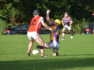 Intermediate Hurling Championship - Loss by 2 points to Cuala.