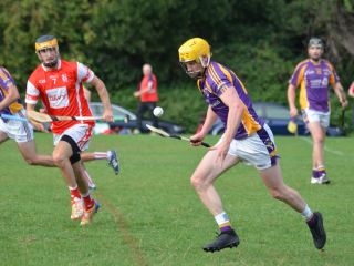 Intermediate Hurling Championship - Loss by 2 points to Cuala.