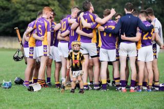 Intermediate Hurling Championship - Loss by 2 points to Cuala.