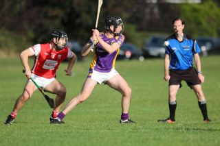Intermediate Hurling Championship - Loss by 2 points to Cuala.
