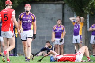 Intermediate Hurling Championship - Loss by 2 points to Cuala.