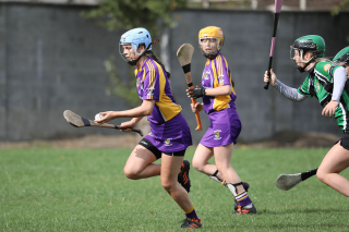 Snr Camogie Team Win Over Erin's Isle