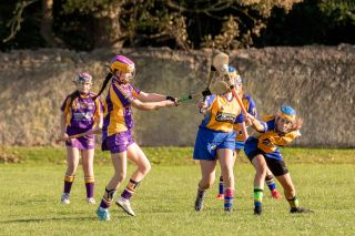 Kilmacud Crokes Under 16B Versus Na Fianna  Championship