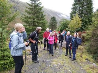 Hillwalks Return