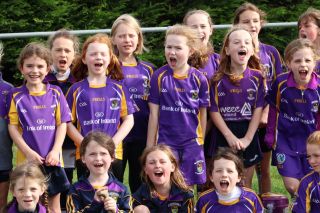 Go Game no. 8 versus Westmanstown Gaels away at Westmanstown Sunday 16th September