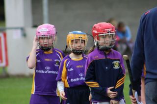 Go Game no. 8 versus Westmanstown Gaels away at Westmanstown Sunday 16th September