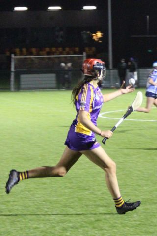 Minor A Camogie V Ballyboden - Championship Final