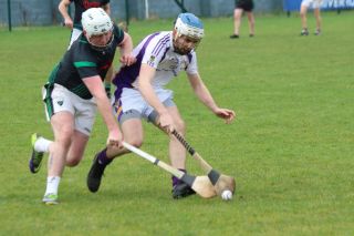 Senior ‘B’ Hurler’s good win over Parnell’s in Opening League Game of the 2019 Season
