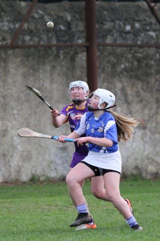 Good win against Celbridge for U16A Camogie team