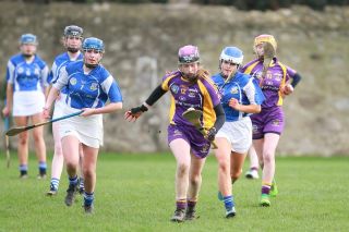 Good win against Celbridge for U16A Camogie team