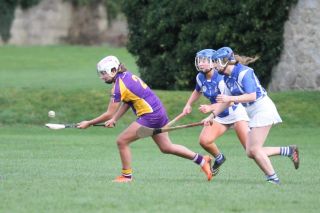 Good win against Celbridge for U16A Camogie team