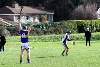 Senior ‘B’ Hurler’s dig deep to beat Castleknock  in League