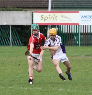 St Bridgets overcome AHL1 team in Senior Hurling League