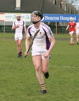 St Bridgets overcome AHL1 team in Senior Hurling League