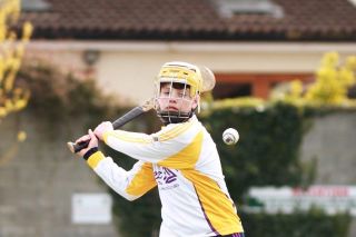 U14AHurling Féile Semi Final