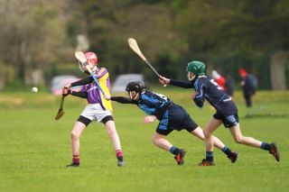 U14AHurling Féile Semi Final