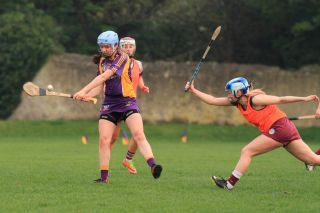 Good win for Senior Camogoie team against Raheny