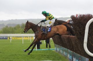 Kilmacud Crokes Hurling Punchestown 2019 Fundraiser