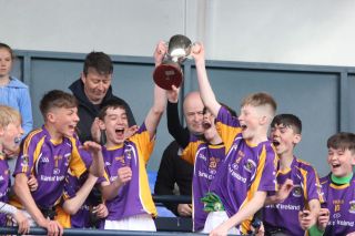Kilmacd Crokes Division 1 Football Feile Champions 2019