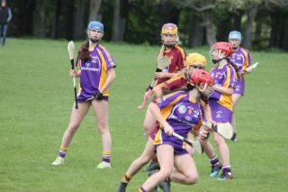 Stong performance for Minor Camogie Team against Plunketts