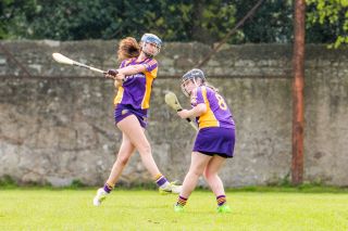KIlmacud Crokes  Camogie Minor Group 1  Win over Na Fianna