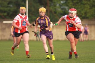 Senior Ladies Camogie team beat Cuala in league clash