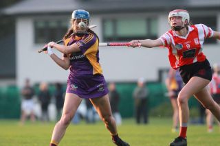Senior Ladies Camogie team beat Cuala in league clash