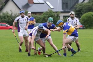 Senior Hurling B Championship 4th round  Kilmacud Crokes V Castleknock