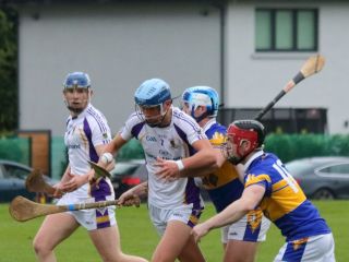 Senior Hurling B Championship 4th round  Kilmacud Crokes V Castleknock