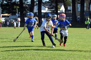 Photos from the BOI Hurling Mini All-Irelands